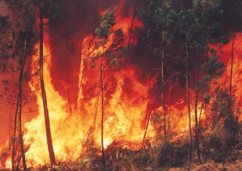 Governo destina verba para nova estrutura de combate a incêndios florestais