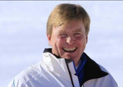 Fungo laranja é batizado com nome de família real holandesa