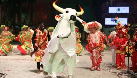 Em Parintins, parte do curral do boi Garantido é arrematado em leilão