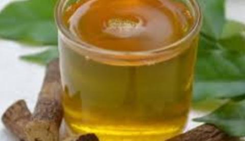 Com ação anti-inflamatória, planta medicinal ajuda aliviar dores musculares 