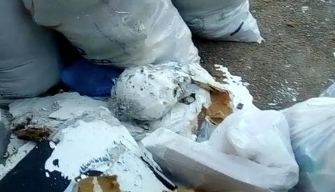 Moradores ficam chocados ao encontrarem crânio humano em lixeira de Manaus