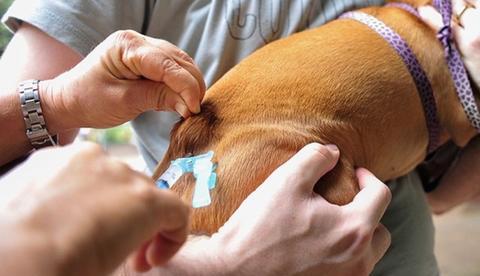 Em Manaus, processo seletivo teve quase 2,5 mil inscrições finalizadas