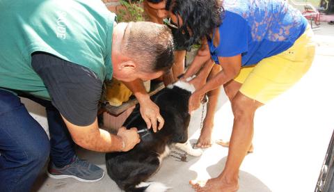Campanha Antirrábica mantém cinco postos fixos de vacinação em Manaus