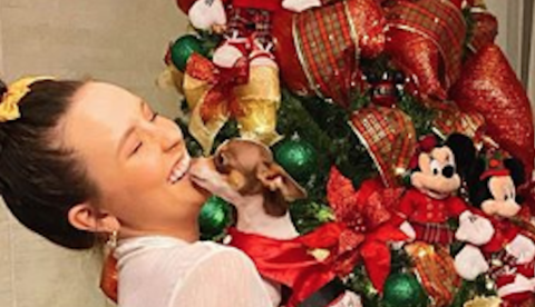 Famosos ostentam na decoração de árvores de Natal; Veja fotos 