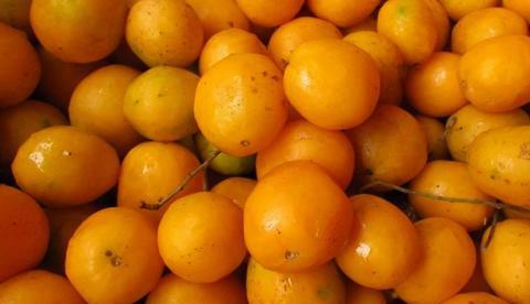 Taperebá é rica em vitamina C e reduz colesterol ruim; saiba mais