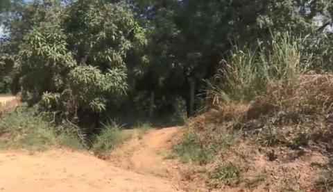 Dois meses após desaparecimento, mãe confessa ter matado e enterrado filha de 1 ano