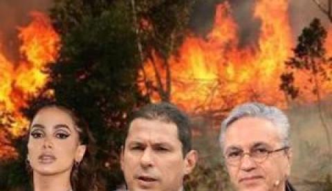 Caetano, Marcelo Ramos, Anitta e o ‘difícil começo’