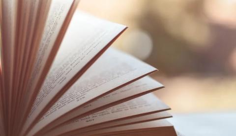 Livro acusado de pornografia infantil tem venda suspensa após repercussão