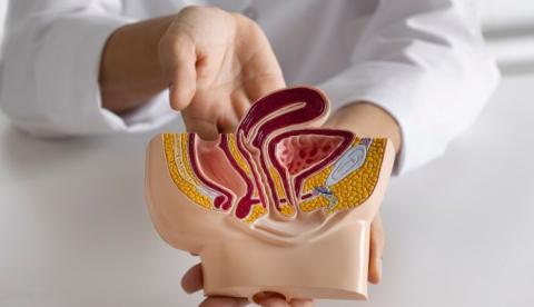 Casos de câncer colorretal estão aumentando entre jovens, aponta estudo