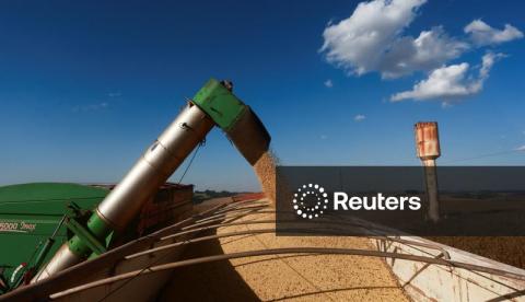 Colheita de soja do Brasil acelera para 30% da área, mas segue atrasada, diz AgRural