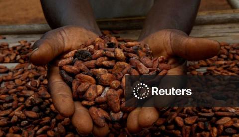 Cacau cai e se aproxima de mínima de 2 anos e meio