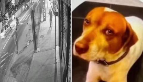 PM é identificado após matar cachorro Caramelo com sete tiros em SP