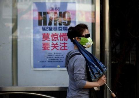 Vírus da gripe das aves H7N9 pode se disseminar entre mamíferos