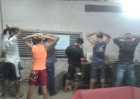 Dez pessoas  presas e 30 galos apreendidos em rinha no São José