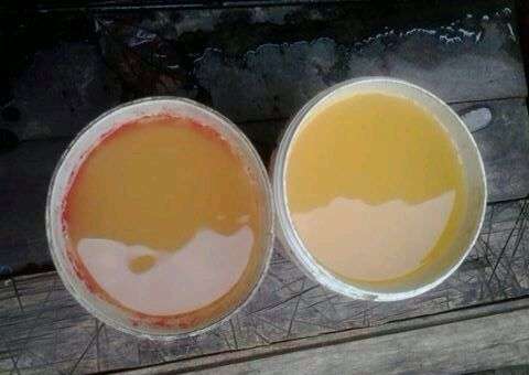 Consumidores reclamam da cor da água em Itacoatiara