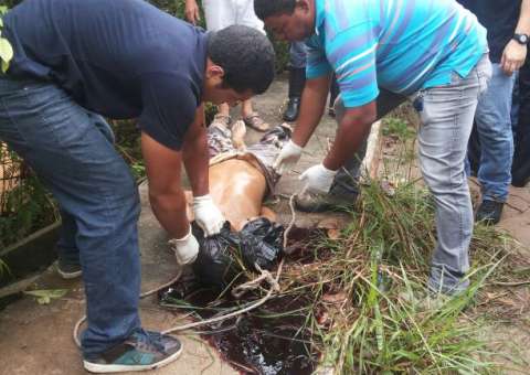 Cadáver surge durante despacho