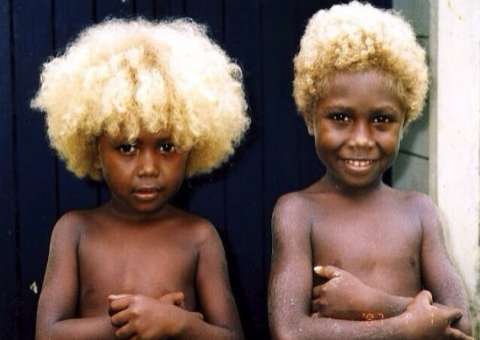 Os nativos de Melanésia e sua curiosidade:  pele escura com cabelos loiros naturais