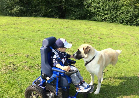 Menino e cão encontram amizade unidos pela superação