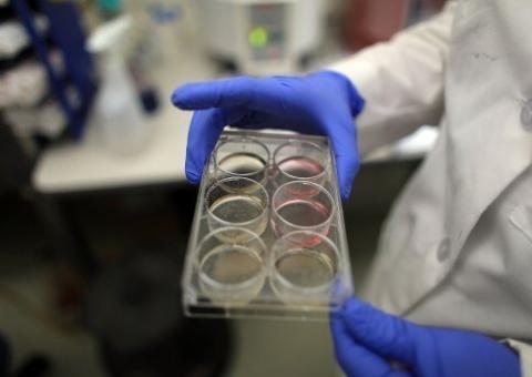 Novo site na internet promete acesso fácil a testes clínicos