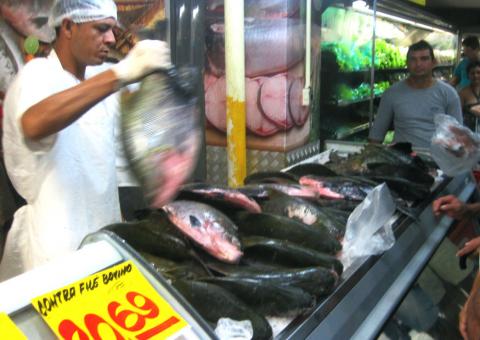 Pescado a preço acessível nas feiras de Manaus