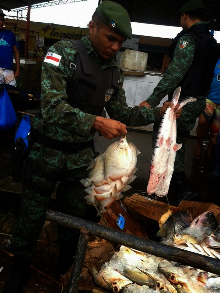 Pescado irregular para o comércio é apreendido no Cacau Pirera