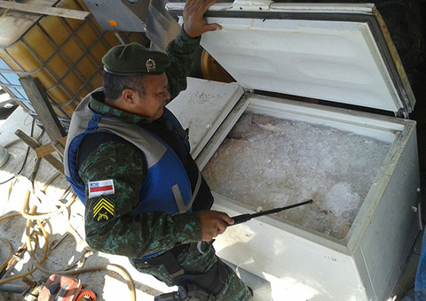 Mais de 2 t de pirarucu são apreendidas no porto São Raimundo