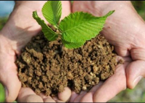 Semed lança Jogos de Educação Infantil e Meio Ambiente nas escolas