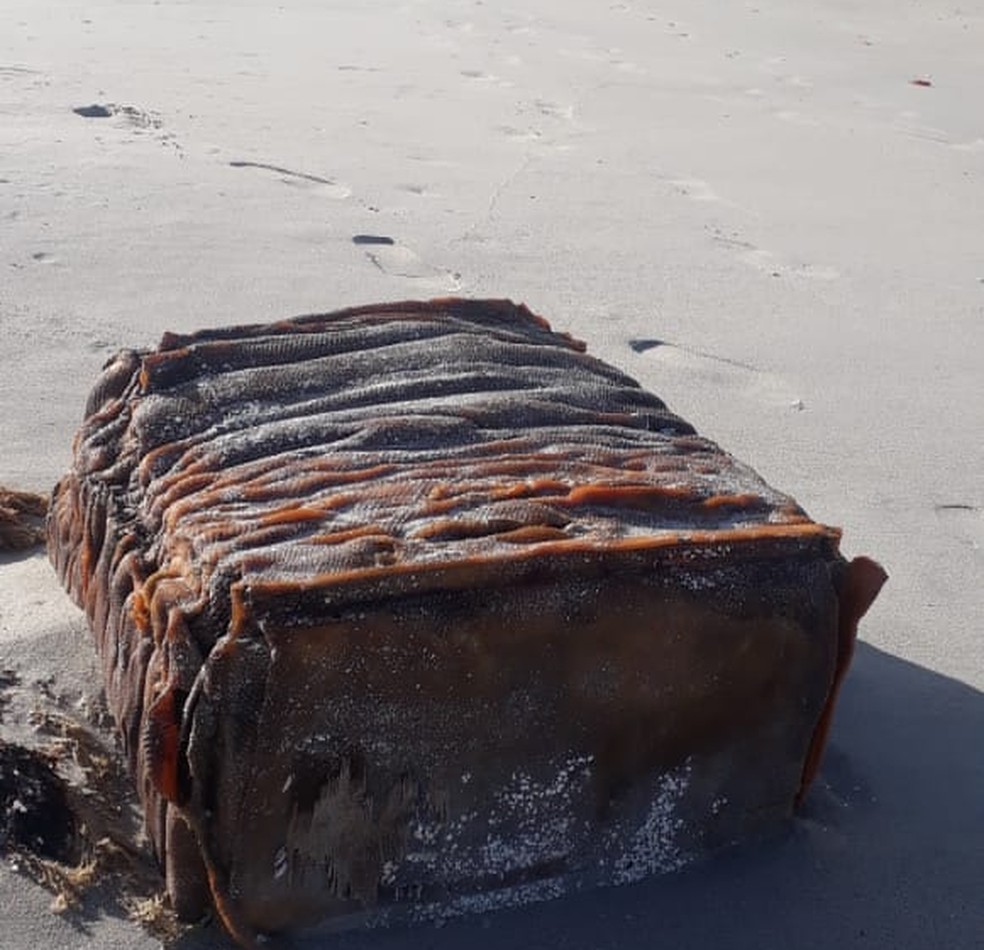 Caixas misteriosas aparecem em praias do Brasil