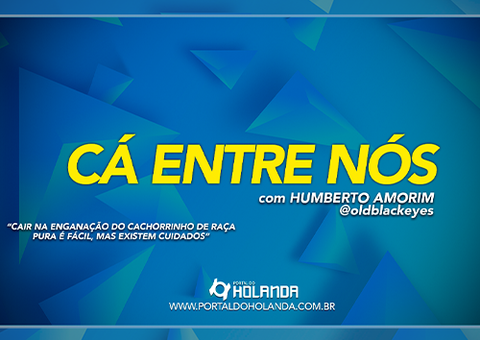 Cá Entre Nós: Cair na enganação do cachorrinho de raça pura é fácil, mas existem cuidados; Assista Ao Vivo
