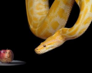 Sobre ‘Poder’ ficar com a mulher do melhor amigo