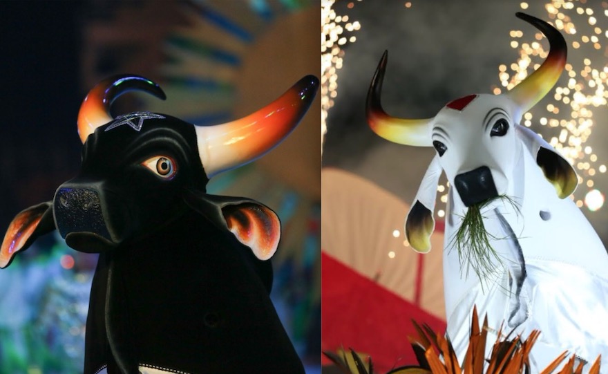 Boi-Bumbá e Çairé: Confira a programação de Lives desta quarta e quinta