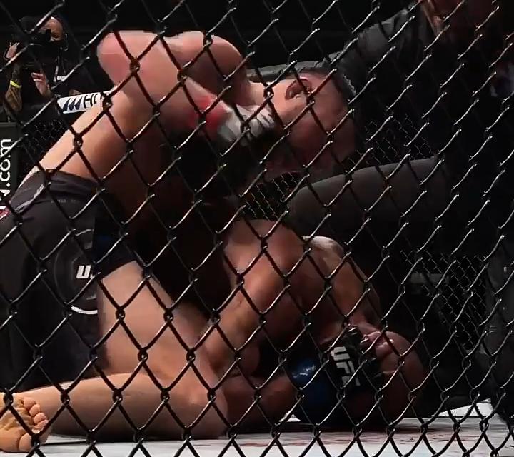 José Aldo perde peso-galo no UFC 251 após ser nocauteado
