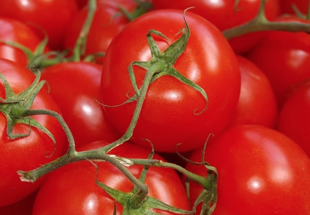 Conheça 10 alimentos que suprem o apetite naturalmente