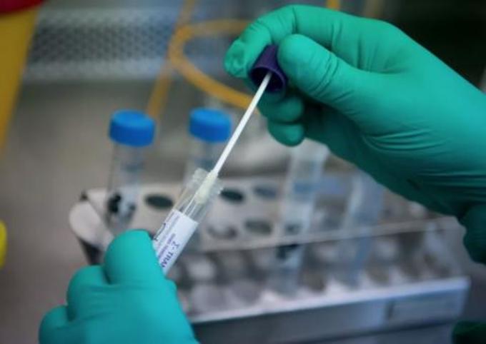 Ministério da Saúde avaliza tratamento com cápsula vanessa, diz vereador