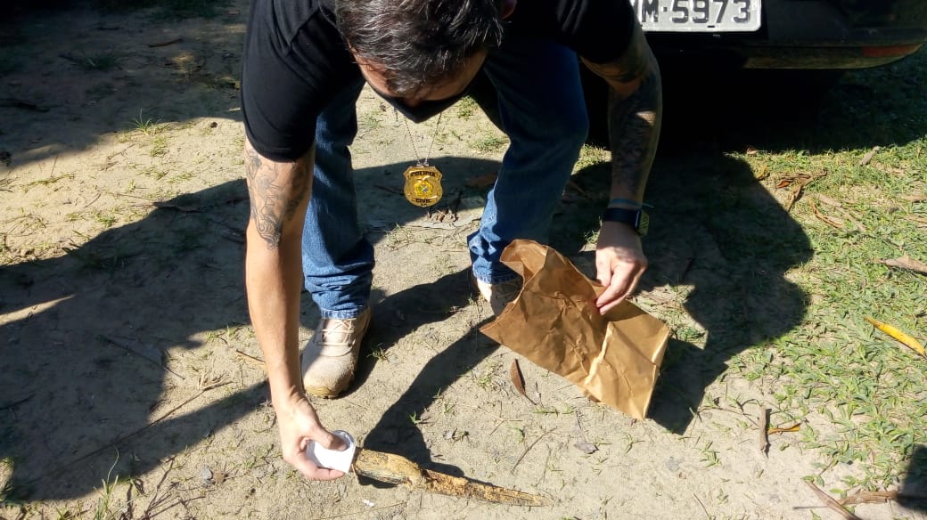 Suspeito de torturar, decapitar e enterrar mulher é preso em Manaus 