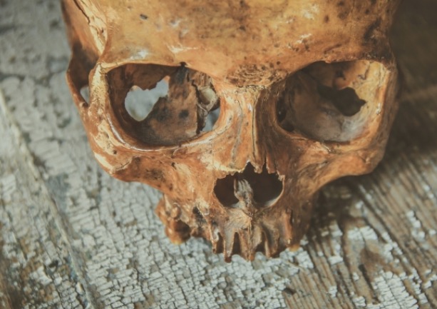 Cova clandestina com mais 20 de corpos é encontrada em terreno de casas