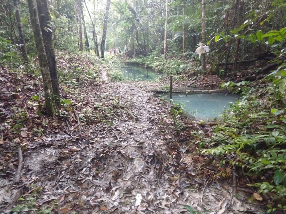 Jovem morre afogado durante passeio de igreja em sítio no Amazonas