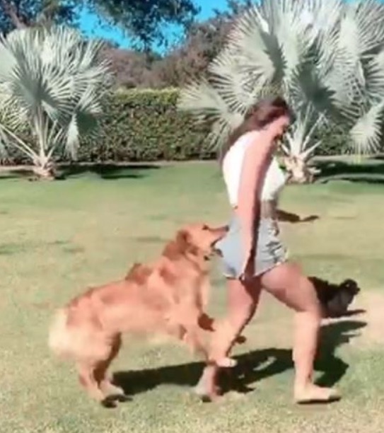 Rafa Kalimann tem bumbum abocanhado por cachorro em vídeo
