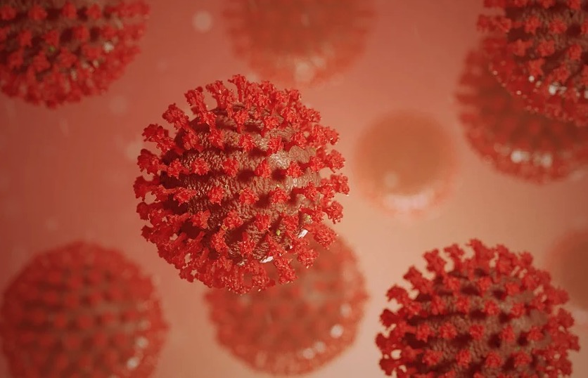 Amazonas tem 557 casos novos de Covid-19 e 496 recuperados 