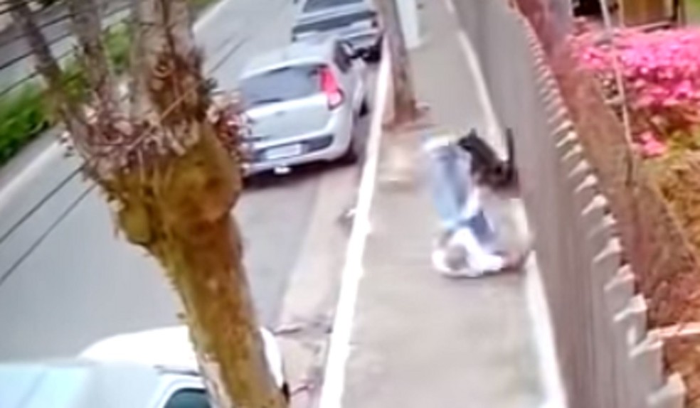 Pedreiro morre após ser ‘atropelado’ por cachorros em calçada