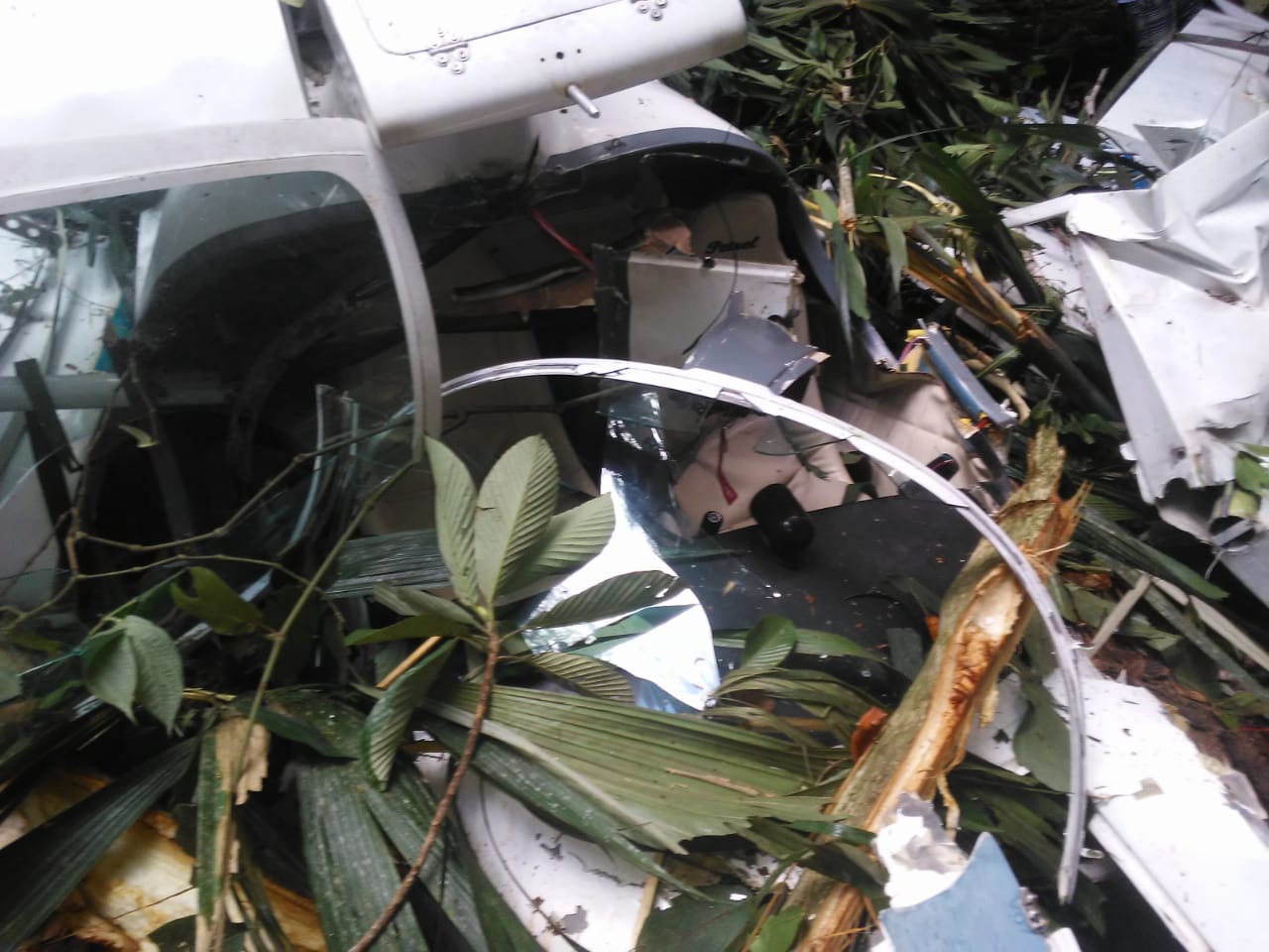 Fotos mostram avião destruído após cair em área de mata no Amazonas