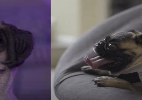 Doral: Banda amazonense lança clipe fofíssimo inspirado em relacionamento à distância 