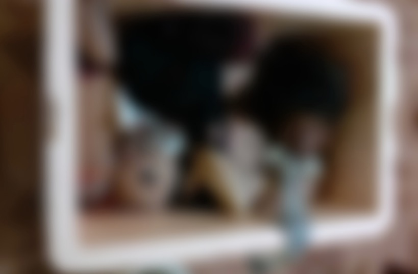 Esquartejada achada em isopor foi morta por motivo banal no Amazonas