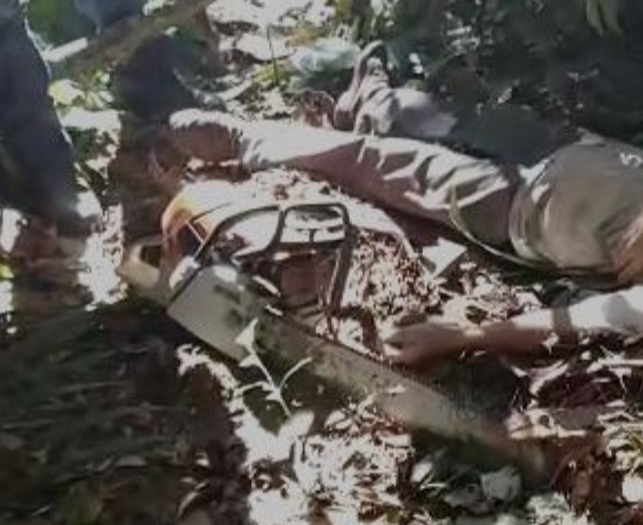 Homem morre ao ser atingido por galho de árvore enquanto trabalhava no Amazonas