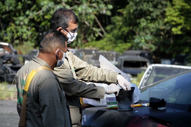 Combate ao mosquito da dengue instala armadilhas em pontos estratégicos