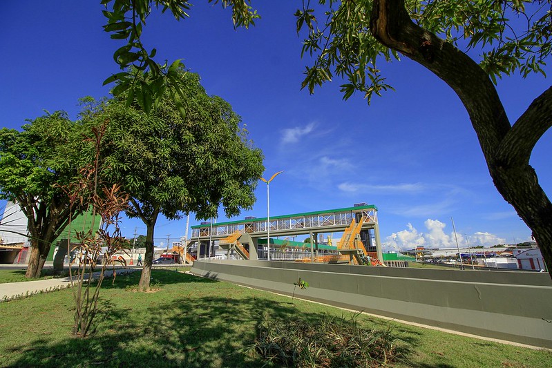 Serviço de paisagismo inicia pelas principais avenidas de Manaus