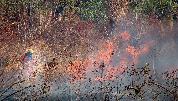 Inpa vai monitorar qualidade do ar em Boa Vista