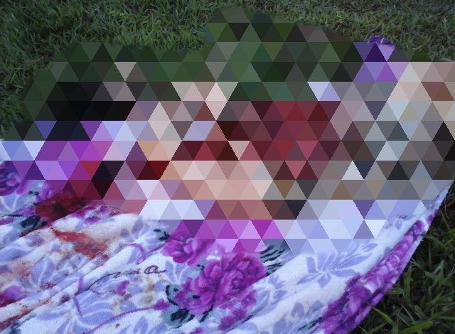 Sem cabeça e com mãos e pés amarrados, mulher é encontrada às margens de rodovia