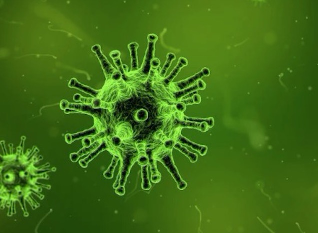 Pesquisa revela células de defesa ao coronavírus em pessoas sem anticorpos