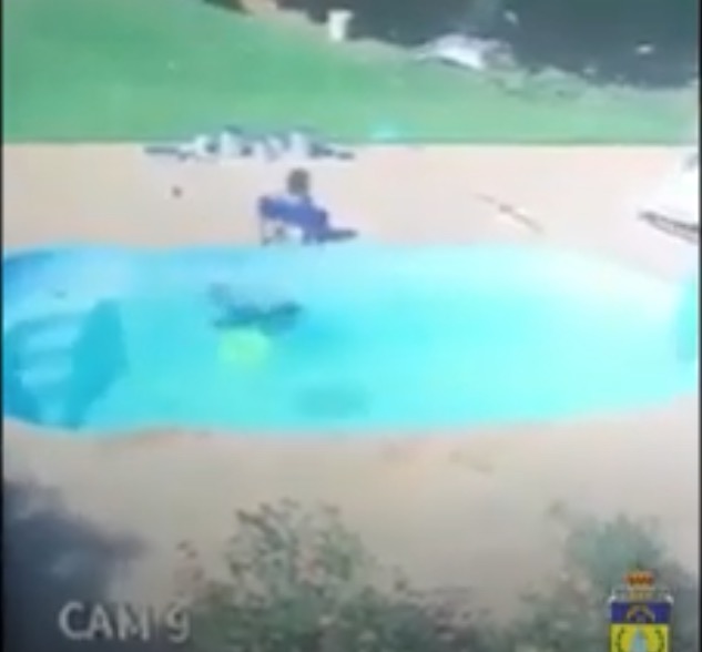 Vídeo mostra menino de 3 anos salvando amigo de afogamento em piscina 